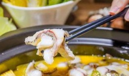 最新吃酸菜鱼爆料广告,独家秘制配方曝光！